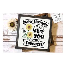 grow through what you go through svg, sunflower svg, sunflower quotes svg, sunshine svg, funny sunflower quotes svg, kin