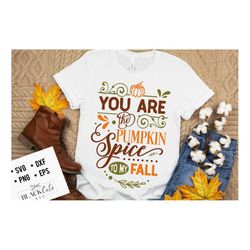 you are the pumpkin to my fall svg, pumpkin spice svg, autumn svg, fall svg, autumn svg design