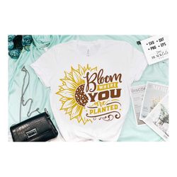 bloom where you are planted svg, sunflower svg, sunflower quotes svg, sunshine svg, funny sunflower quotes svg, kindness