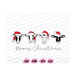 mooey christmas png, christmas cow png, christmas png, womens christmas png, christmas shirt png, christmas family png,