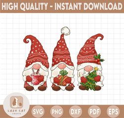 merry christmas gnome png, gypsy tribe gnome png, hippie three gnome png, santa sublimation design, tumbler graphic, gif