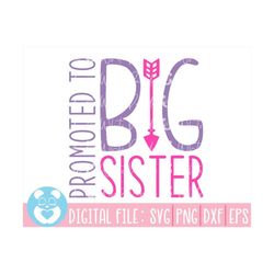 promoted to big sister,sibling announcement svg, sibling svg, brother svg, sister svg,baby svg,new baby announcement,cut
