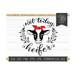 cow svg not today heifer svg cut file for cricut, instant download, funny cow svg, funny farm svg, cow saying svg, cow head svg bandana svg