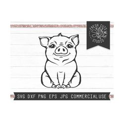 pig svg baby cut file, hand drawn pig svg, piglet svg, baby pig svg, eyelashes, farm svg, farm life svg, girl pig svg, instant download dxf