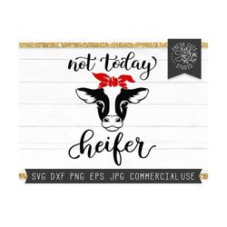 not today heifer svg cut file for cricut silhouette, instant download, funny cow svg, cow shirt design, farm svg, cow head svg, cow saying