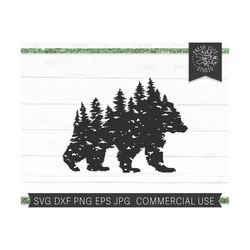 Forest Bear SVG Cut File, Distressed PNG Grizzly Bear Cut File for Cricut Silhouette, Sublimation Designs, Pine Trees Wild Instant Download