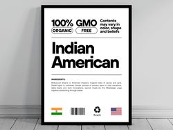 indian american unity flag poster  mid century modern  american melting pot  rustic charming indian humor  us patriotic