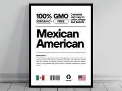 mexican american unity flag poster  mid century modern  american melting pot  rustic charming mexican humor  us patrioti