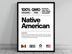 native american unity flag poster  mid century modern  american melting pot  rustic charming native american humor  us p