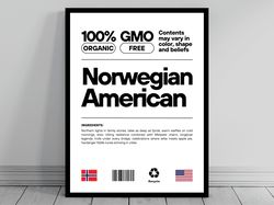 norwegian american unity flag poster  mid century modern  american melting pot  rustic charming norwegian humor  us patr