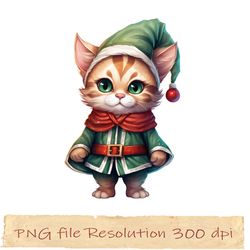 cute  cat christmas sublimation, funny xmas, cat green png, gift for xmas, png funny, grinch cat png14