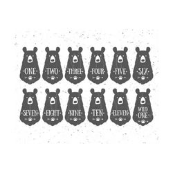 baby bear svg, bear baby months 1-11 svg bundle, wild one svg bundle baby bear svg bears svg file cricut silhouette baby months 1-12 svg