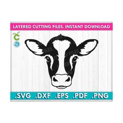 cow face svg, baby cow svg, dairy cow svg, calf svg, farm svg, cut svg files, cutting files for cricut, svg, dxf, eps, pdf, png files.