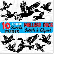 mallard duck artwork, duck hunting hunter theme, svg , png, eps instant digital downloads bundles
