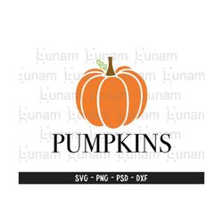 pumpkin svg, fall svg, autumn svg, fall shirt svg, i love pumpkins svg, pumpkin word svg, pumpkin cut file, pumpkin shirt svg
