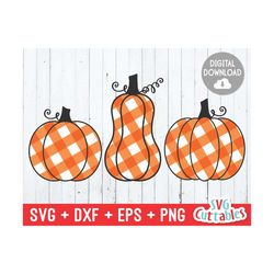 gingham plaid pumpkins svg - dxf - eps - png - fall - autumn - cut file - pumpkin svg - fall svg - silhouette - cricut - digital download