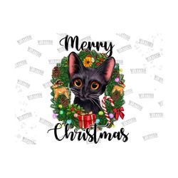 merry christmas black cat png sublimation design, christmas cat png, merry christmas png, christmas animal png,happy chr