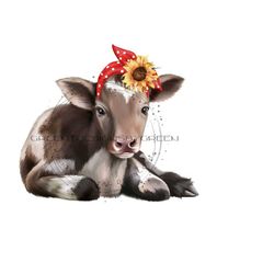 cow png, black & white calf, red bandana, sunflowers, farm life sublimation, sunflower png, western clipart, baby cow png, calf sublimation