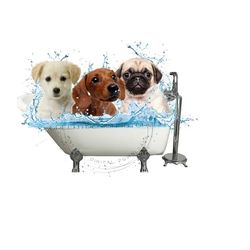 bathtub png, dogs in bathtub clipart, dog sublimation, bathroom clipart, puppy dog sublimation, bathroom png, dog clipart sublimation.