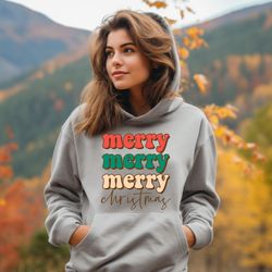 merry christmas hoodie, christmas women hoodie, christmas family hoodie, christmas matching hoodie, funny xmas hoodie, c