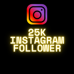 instagram followers 25k fast delivery