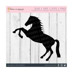 horse rearing svg - animal svg - horse silhouette svg - farmhouse horse svg - horse vector - pdf - dfx - eps - cricut - silhouette