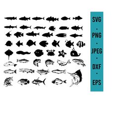 fish bundle svg | fish svg | fishing printable vector clipart | svg files for cricut silhouette laser engraving | fishin