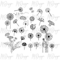 dandelion svg bundle cut file for cricut, silhouette cameo - great for summer diy projects, vinyl cutting, sublimation p