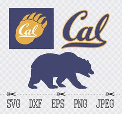 california golden bears svg,png,eps cameo cricut design template stencil vinyl decal tshirt transfer iron on