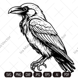 raven svg, raven silhouette dxf, raven clipart, crow svg, bird svg, crow flying svg, raven flying