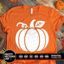 pumpkin svg, thanksgiving svg, cute pumpkin svg, dxf, eps, png, fall sign cut files, autumn farmhouse svg, halloween svg