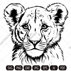 baby lion svg,lion cub face svg, nursery decor, safari african animals, lion cub, nursery wall art, kids printable art