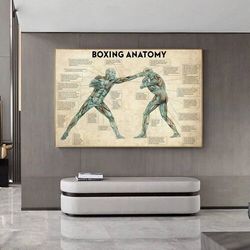 vintage boxing anatomy canvas prints - educational and decorative wall art for gym rooms