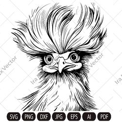 silkie hen svg, silkie hen head svg, silkie hen face svg, silk rooster, silkie bird, funny silkie hen digital image, ani