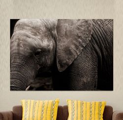 elephant photo print, wildlife elephant wall art, elephant photo artwork, elephant lover gift wall art, animal poster, w