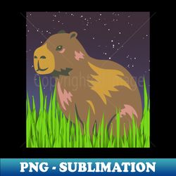 happy capybara in the night grass - modern sublimation png file - capture imagination with every detail