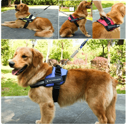 pet harness personalized dog harness reflective breathable adjustable vest for small large dog walk no pull training