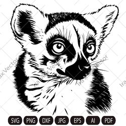 lemur svg lemur clipart hand drawn lemur vector image 1 lemur svg lemur clipart hand drawn lemur vector image 1 lemur sv