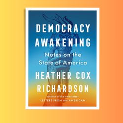 democracy awakening: notes on the state of america