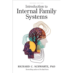 introduction to internal family systems