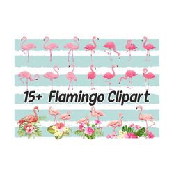 15+ flamingo clipart, tropical flamingo clipart, cute flamingo clipart, christms flamingo clipart,  flamingo clipart commercial,flamingo png