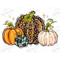 pumpkins png, leopard pumpkin png, fall png, thanksgiving png, pumpkin drawing, fall pumpkin png, pumpkin season png, fall vibes png