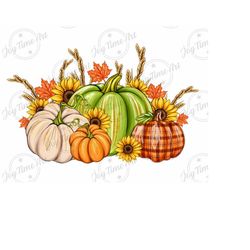 fall pumpkins png, western pumpkins png,  pumpkin clip art fall png download,leopard pumpkins png, watercolor pumpkins png, pumpkin png,