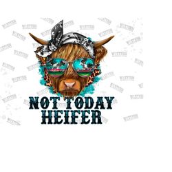 not today heifer png, highland cow, farm, barn, cow, cowhide, desert, western, cactus, farm animals, turquoise, funny digital download png