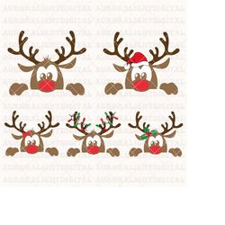 reindeer svg - christmas svg - reindeer face svg - cute reindeer red nose, christmas reindeer face svg, deer svg, reinde