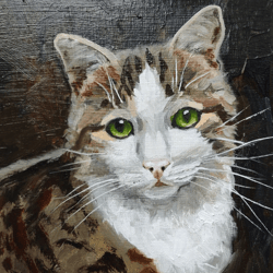 cat painting cat artwork original oil art pet portrate