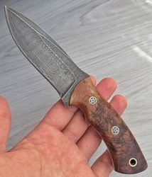 custom handmade damascus steel camping hunting knife chestnut handle gift for him groomsmen gift wedding anniversary gif