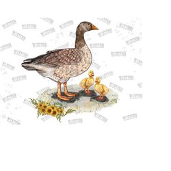 duck sublimation baby duck png, baby duck png, sunflower png, duck portrait png, hand drawn duck png, sublimation design, digital download