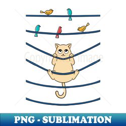 cat and birds - png transparent sublimation file - unlock vibrant sublimation designs