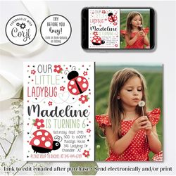 editable ladybug birthday invitation, ladybug invitation, our little lady invitation, photo invitation, 4x6 & 5x7